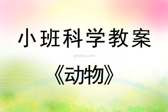 小班科學活動教案：動物教案
