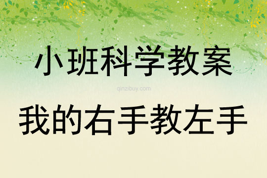 小班科學教案:我的右手教左手小班科學教案:我的右手教左手