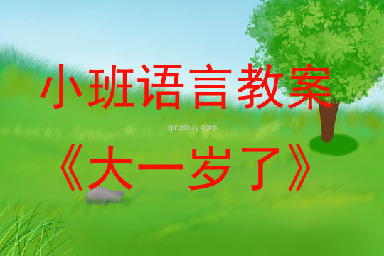 小班語言活動大一歲了教案反思