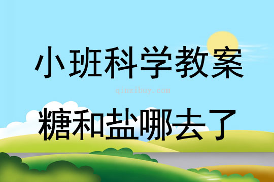 幼兒園小班科學教案：糖和鹽哪去了小班科學教案：糖和鹽哪去了