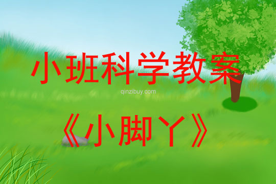 小班科學教案：小腳丫小班科學教案：小腳丫