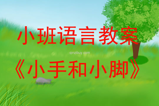 小班語言活動小手和小腳教案反思