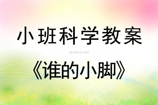 幼兒園小班科學(xué)教案：誰(shuí)的小腳小班科學(xué)教案：誰(shuí)的小腳