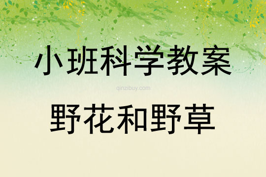 小班科學(xué)：野花和野草小班科學(xué)教案：野花和野草