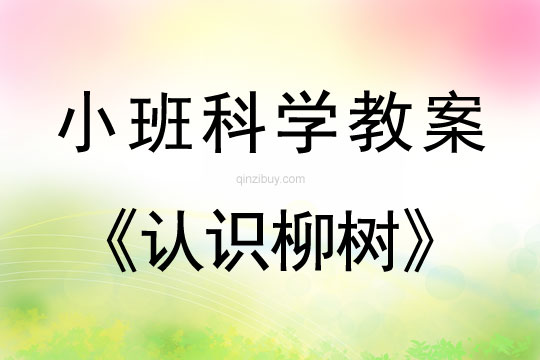 小班科學教案：認識柳樹小班科學教案：認識柳樹