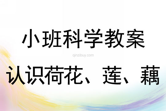 小班科學(xué)教案：認(rèn)識(shí)荷花、蓮、藕小班科學(xué)教案：認(rèn)識(shí)荷花、蓮、藕