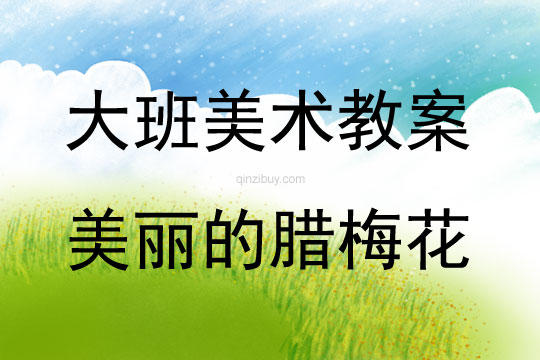 大班美術活動美麗的臘梅花教案反思