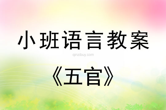 小班語言活動教案：五官教案
