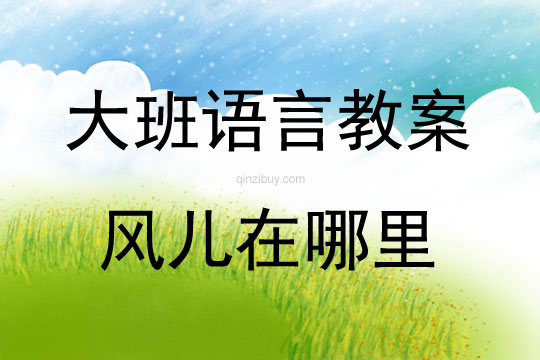 大班語言活動(dòng)教案：風(fēng)兒在哪里教案(附教學(xué)反思)