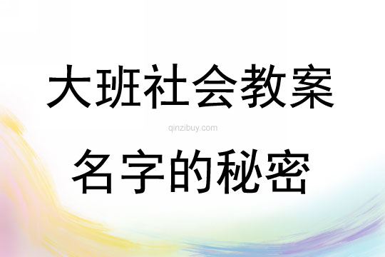 大班社會活動名字的秘密教案反思