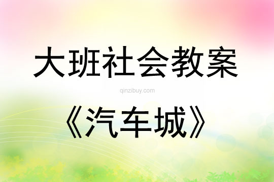 大班社會汽車城教案反思