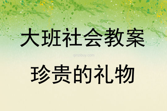 大班社會活動珍貴的禮物教案反思