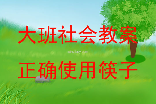 大班社會活動教案：正確使用筷子教案(附教學反思)