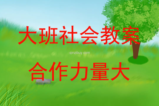 大班社會(huì)活動(dòng)合作力量大教案反思