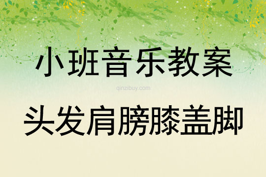小班音樂活動頭發(fā)肩膀膝蓋腳教案反思