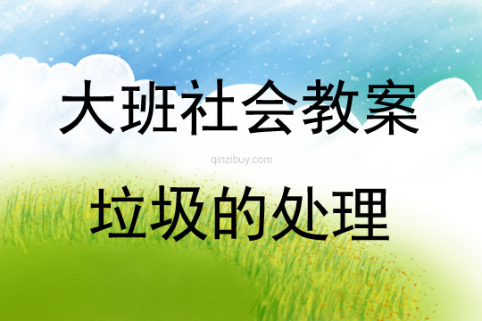 大班社會垃圾的處理教案反思