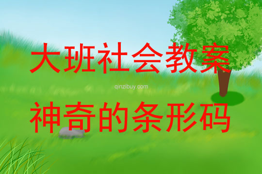 大班社會活動神奇的條形碼教案反思