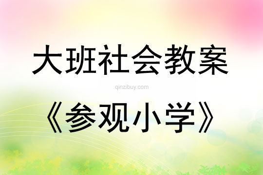 大班社會(huì)活動(dòng)參觀小學(xué)教案反思