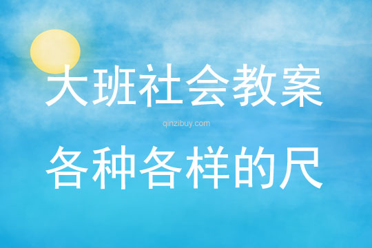 大班社會各種各樣的尺教案反思