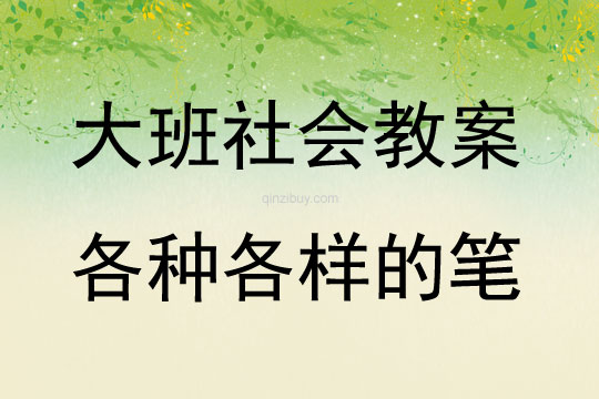 大班社會各種各樣的筆教案反思