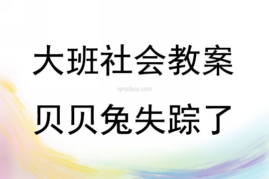 大班社會活動貝貝兔失蹤了教案反思