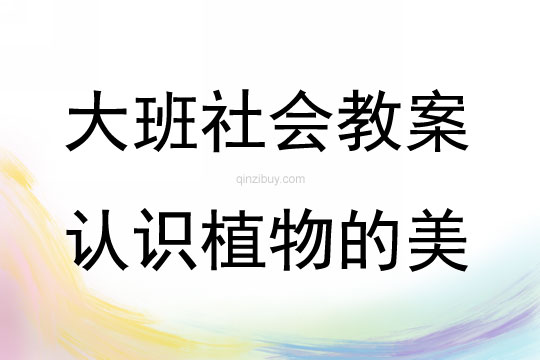 大班社會活動教案：認(rèn)識植物的美教案