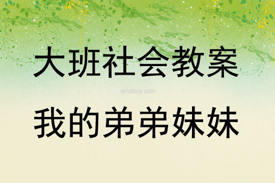 大班社會(huì)活動(dòng)我的弟弟妹妹教案反思