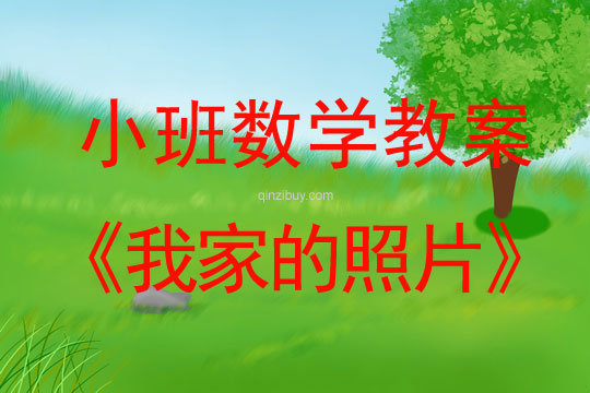 小班數(shù)學(xué)活動(dòng)我家的照片教案反思