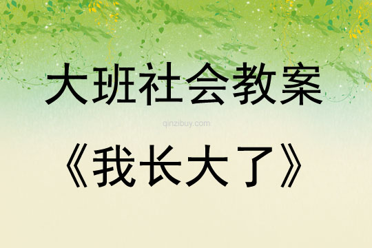 大班社會活動《我長大了》教案反思