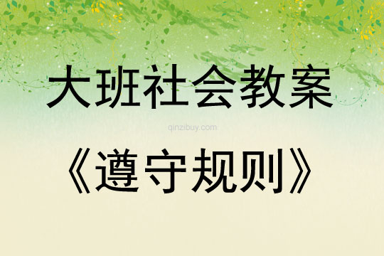 大班社會活動遵守規則教案反思