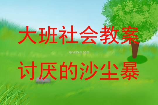 大班社會活動討厭的沙塵暴教案反思