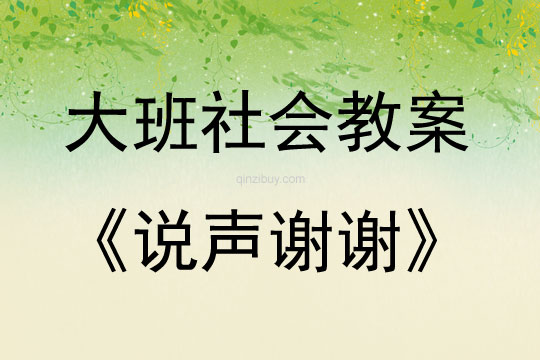 大班社會說聲謝謝教案反思