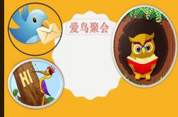 大班社會(huì)愛鳥聚會(huì)PPT課件