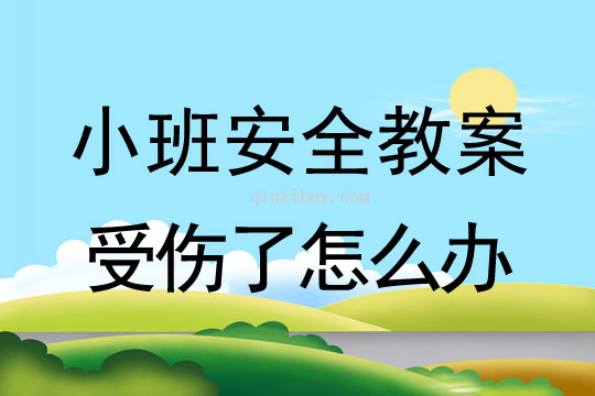 小班安全受傷了怎么辦教案反思