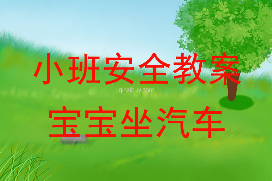 小班安全教育活動寶寶坐汽車教案反思