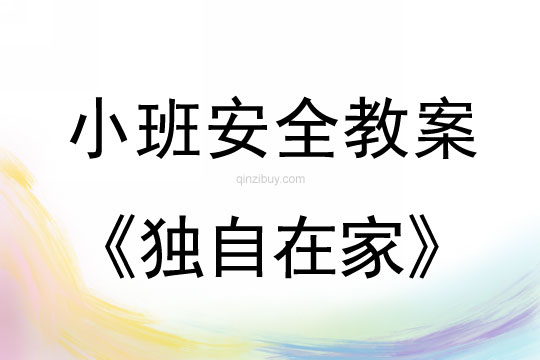 小班安全獨自在家教案反思