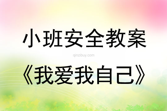 小班安全活動教案：我愛我自己教案(附教學反思)