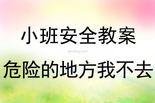 小班安全危險(xiǎn)的地方我不去教案反思