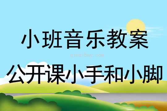 小班音樂公開課小手和小腳教案反思