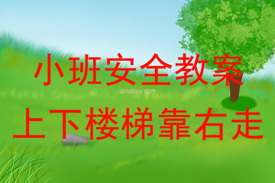 小班安全上下樓梯靠右走教案