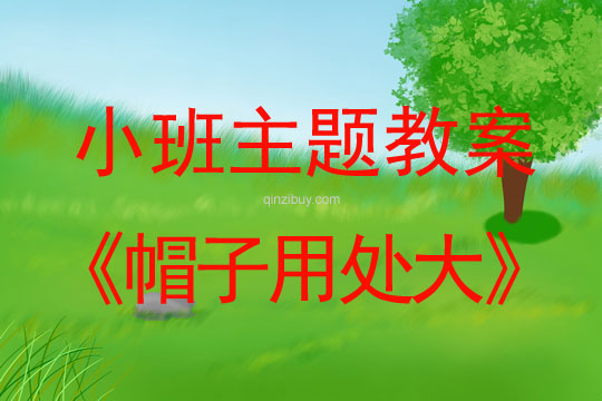 小班主題活動教案：帽子用處大教案(附教學反思)