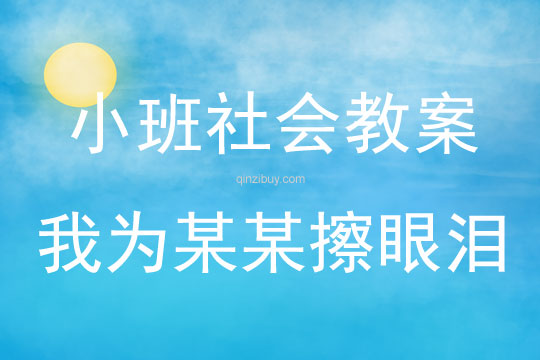小班社會活動我為某某擦眼淚教案反思