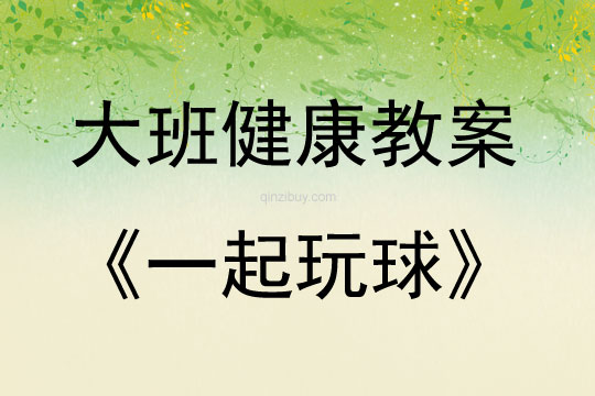 大班健康一起玩球教案反思