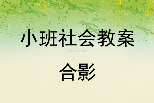 小班社會活動合影教案反思