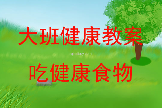 大班健康吃健康食物教案反思