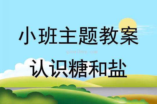 小班主題活動認識糖和鹽教案反思