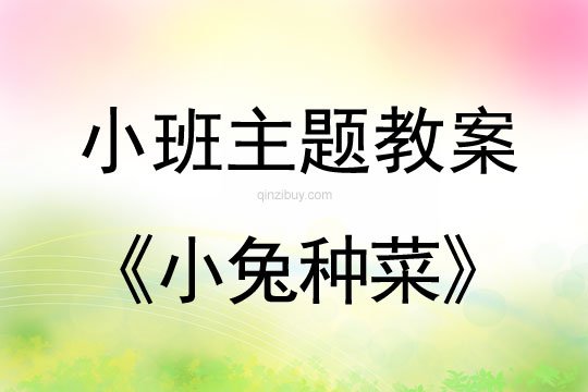 小班主題活動小兔種菜教案反思