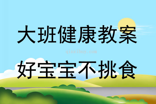 大班健康好寶寶不挑食教案反思