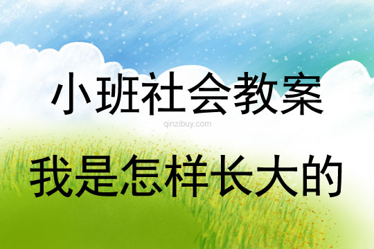 小班社會活動我是怎樣長大的教案反思