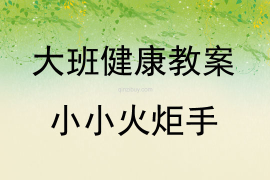 大班健康活動小小火炬手教案反思